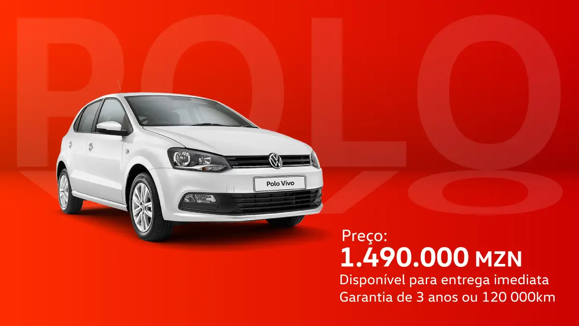 POLO VIVO E A CORES        